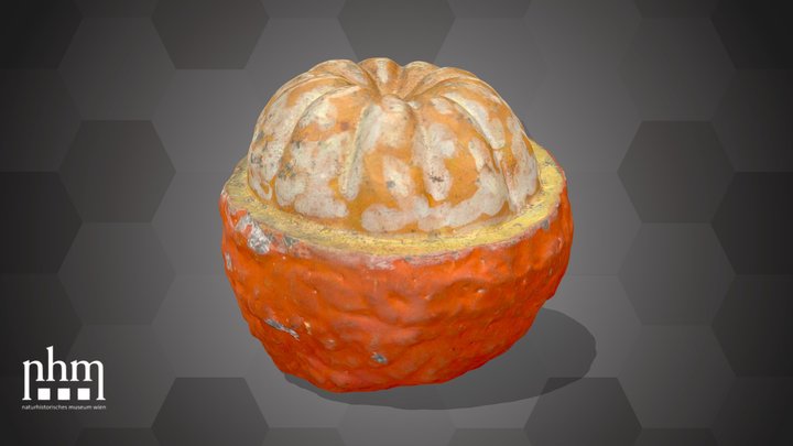 Orange (NHMW-AFW-DING-0046-008) – Modello 3D gratuito STL