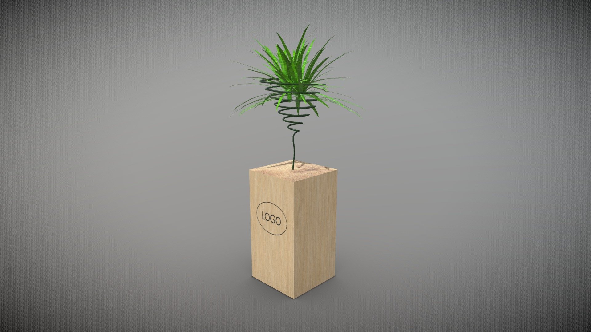 Air Plant v.WOOD1