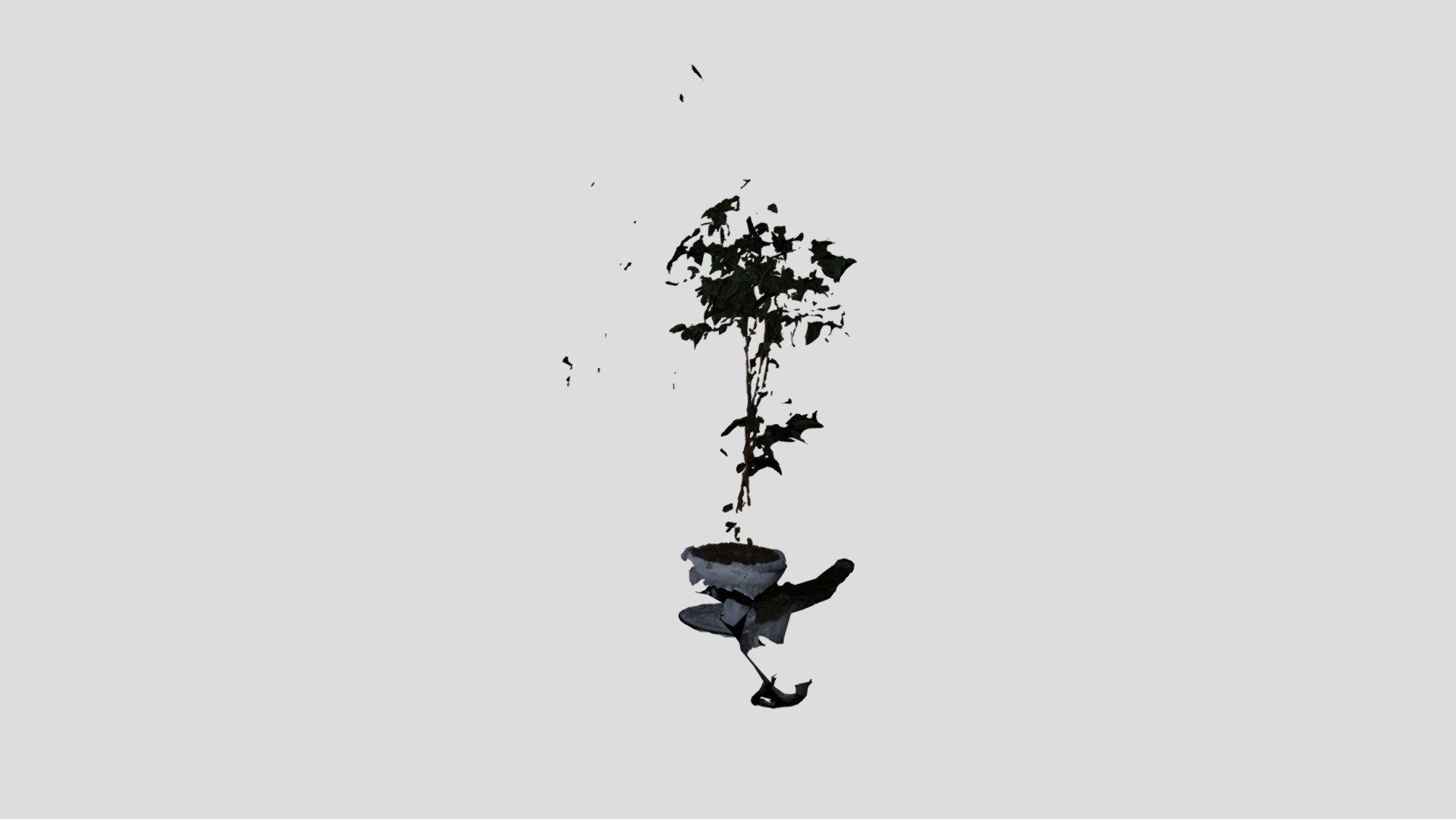 MESHROOM_PLANT_RAW_FAILED