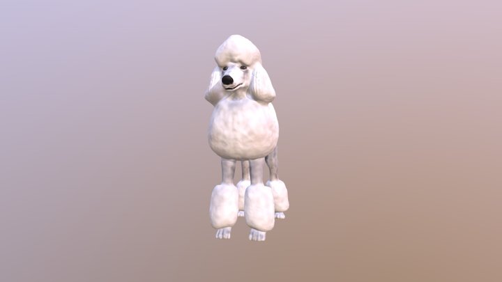 Poodle 3D Model
