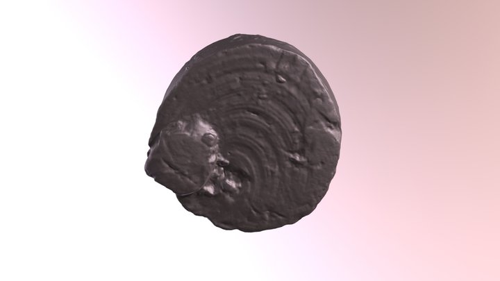 Cirkelvormige strepen / Concentric striations