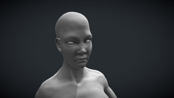 Basemesh Milestone 3 3D Model