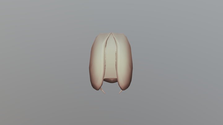 LADY BUG 3D MODEL 3D Model