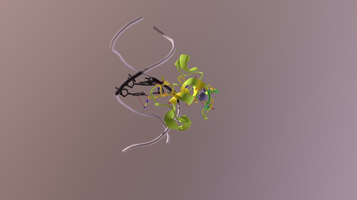 CXXC Zn Finger of CFP1 + DNA 3D Model