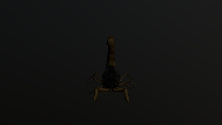 Insect Scorpion animation
