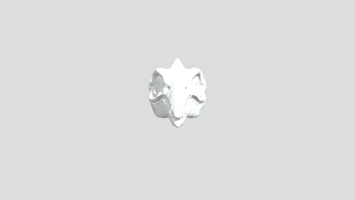 Cráneo de Ictiosaurio 3D Model