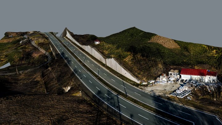 Road Asset (Raw Scan) 3D Model