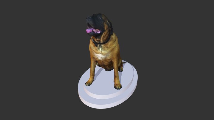 STAXStudio 3D Scan 4635 3D Model