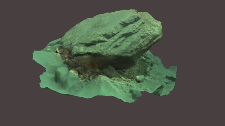 1st Stone from mountain lake Tatra National Park 3D Model