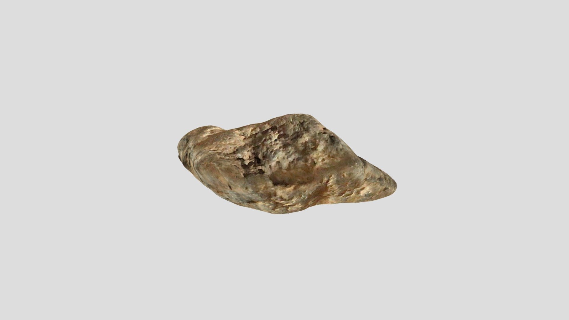 Carboniferous Coral