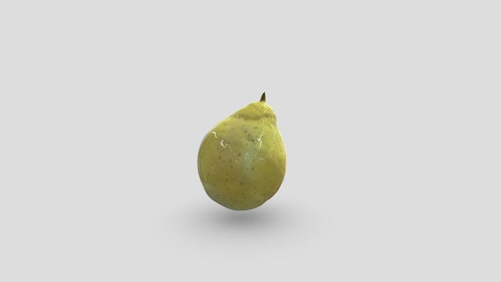 My model 3D Model