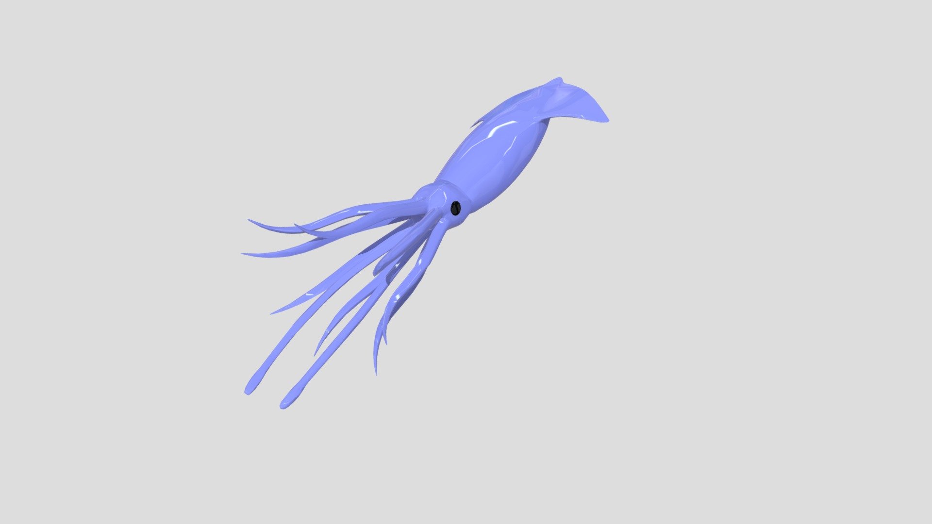 Squid - Download Free 3D Model By Gatotron [1b271ec] - Sketchfab