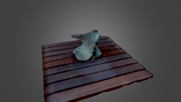 Os 3D Model