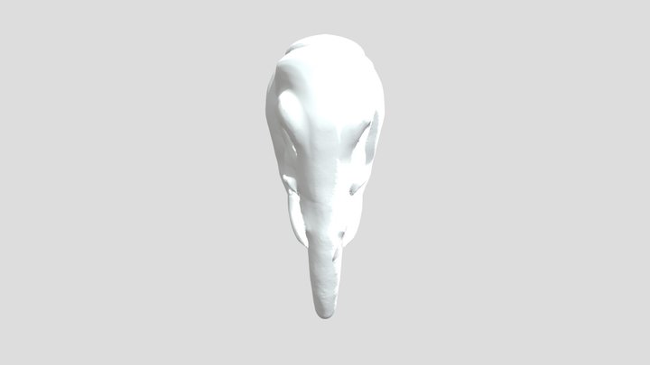 elephent 3D Model