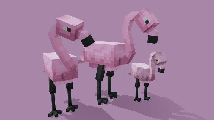 Flamingos 3D Model