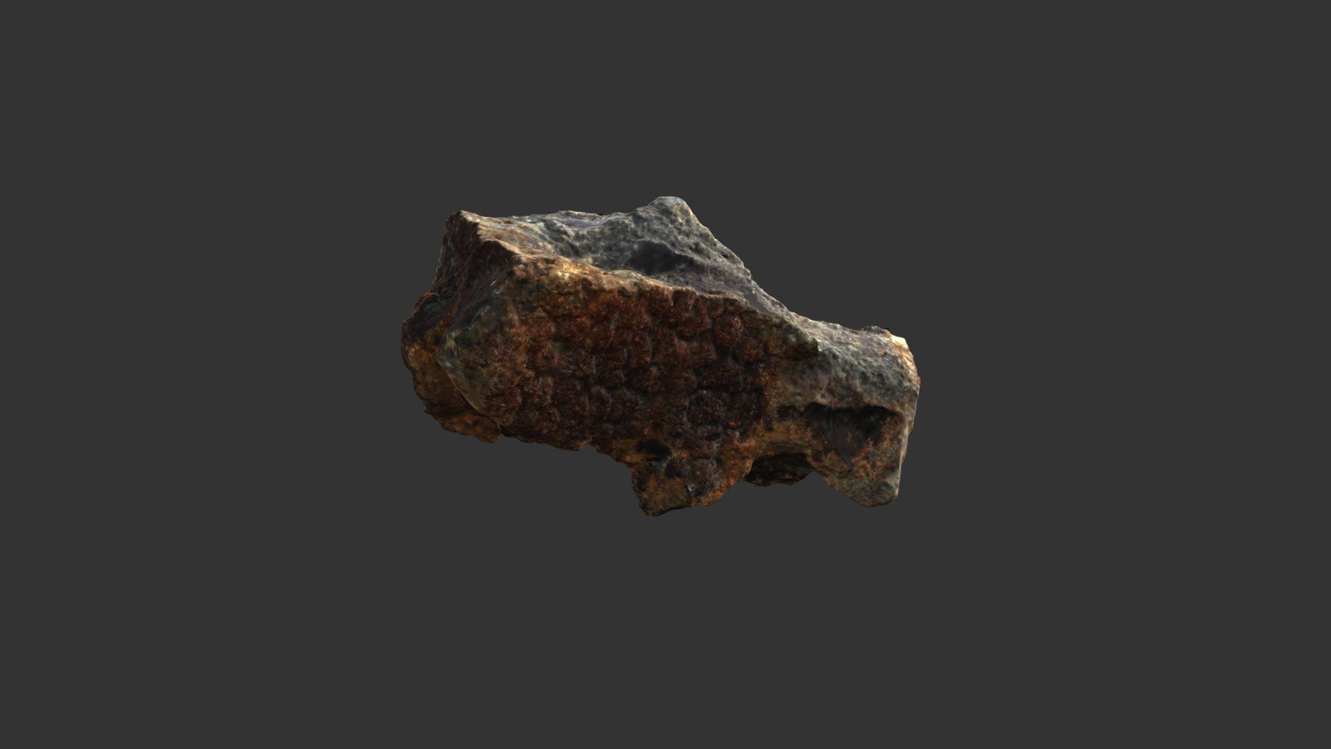 Isastraea sp