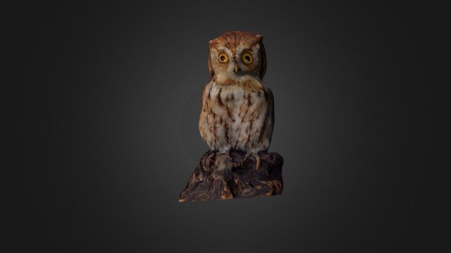 Eastern Screech Owl