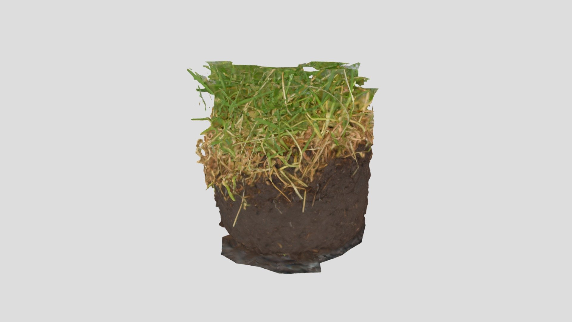 grass2 — Sketchfab embed 3D viewer