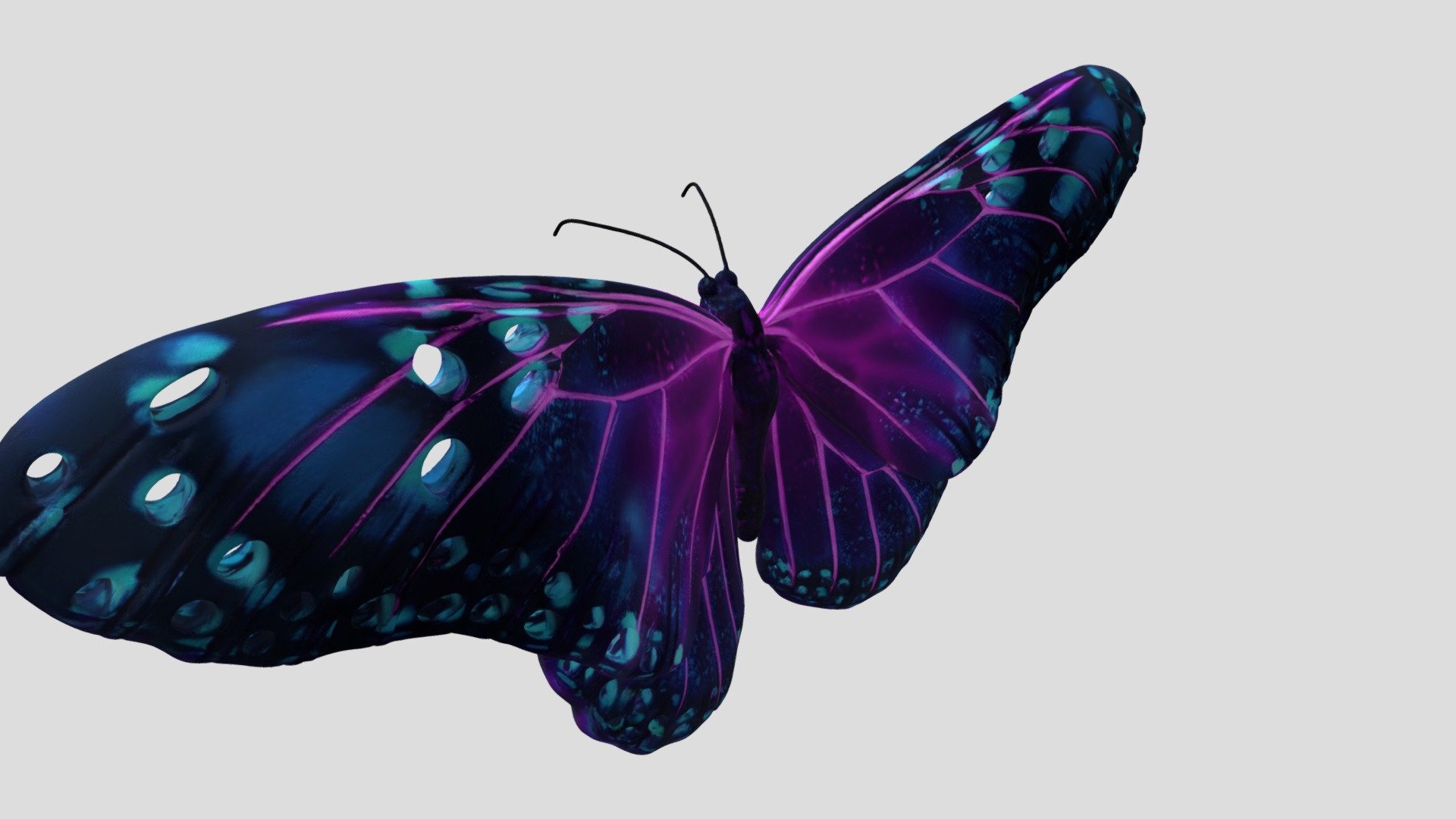Butterfly - 3D model by sdsdaq2 [1b396ce] - Sketchfab