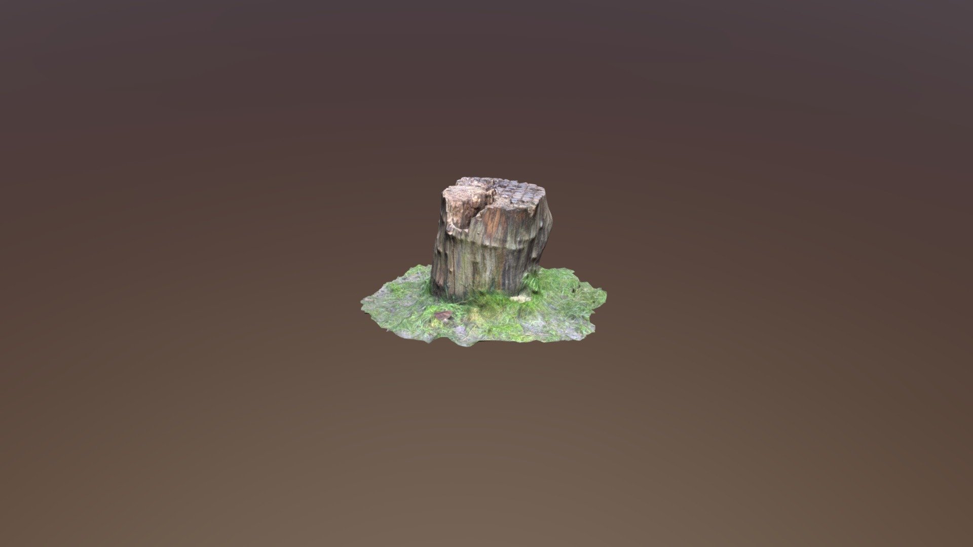 Trunk in the Park