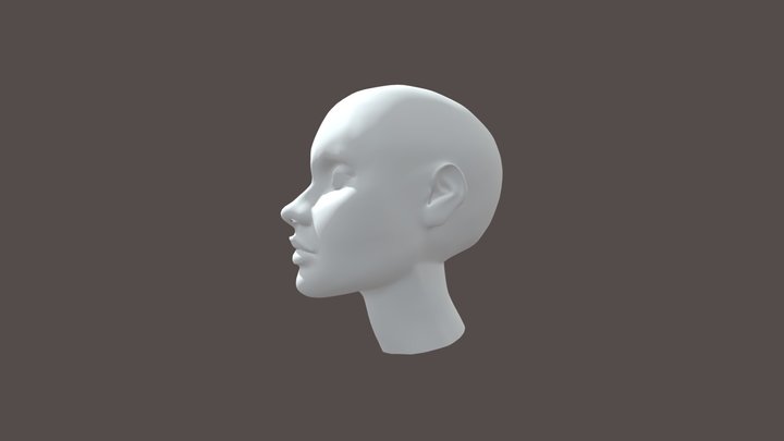 Female Head 3D Model