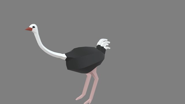 Ostrich Attack 3D Model