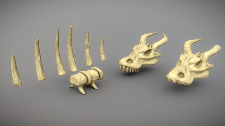 Bones - Medieval Cleaning 3D Model
