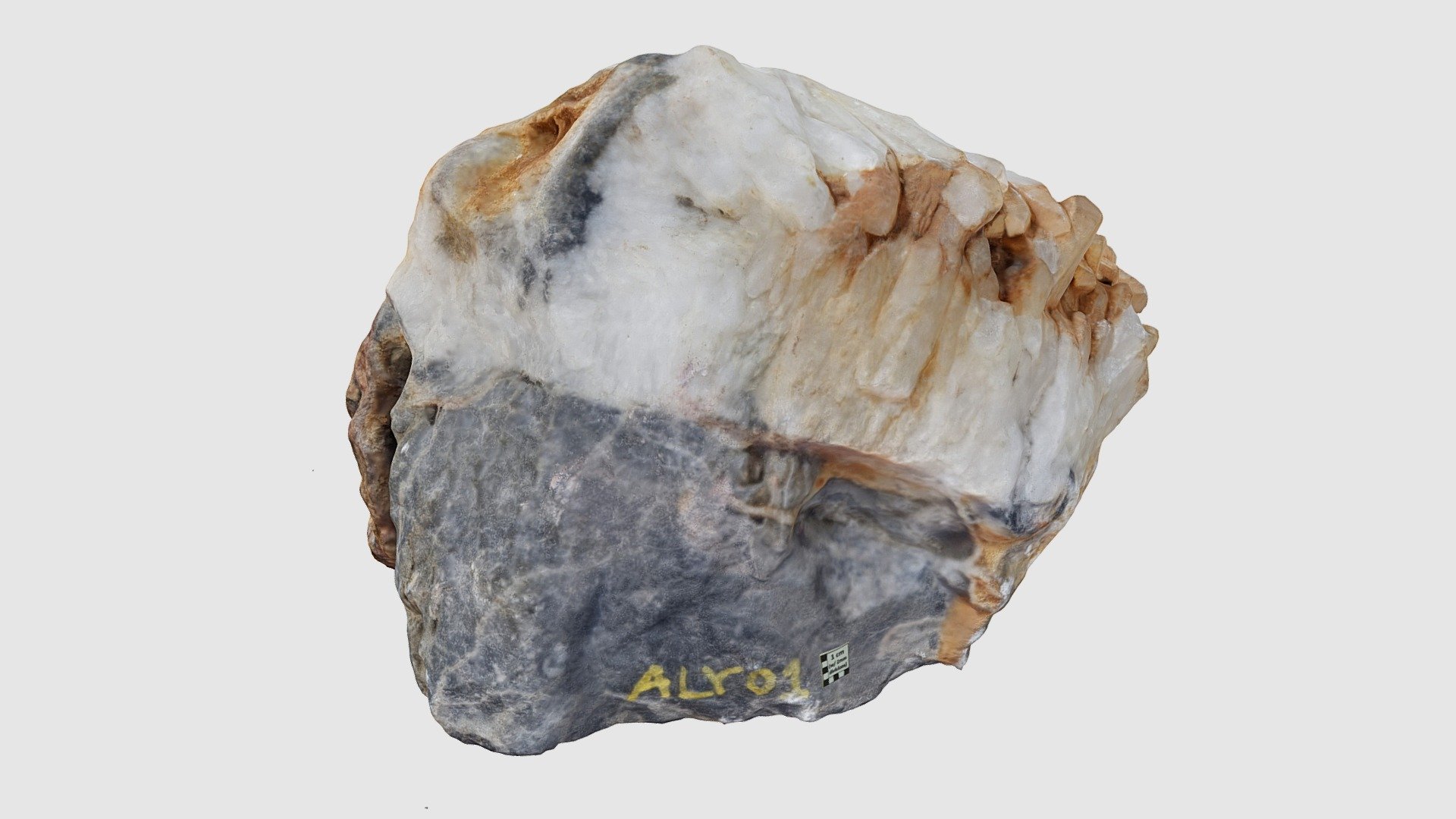 ALY01 (new)