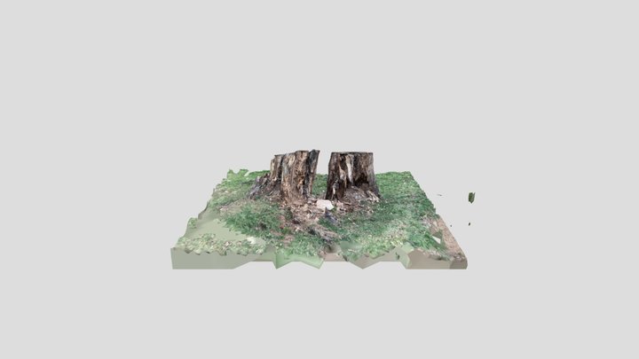 old dead Tree Stump in a park 3D Model