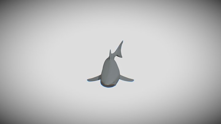 Shark 3D Model