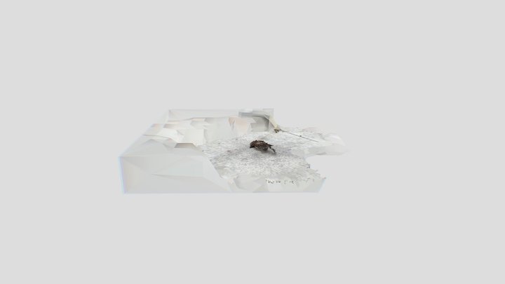 Scan 2022-12-23T08:37:17.224Z 3D Model