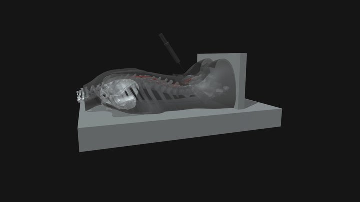 Тренажер для выполнения спинальных пункций 3D Model