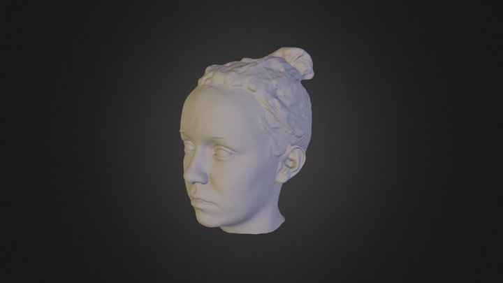 face #2 3D Model