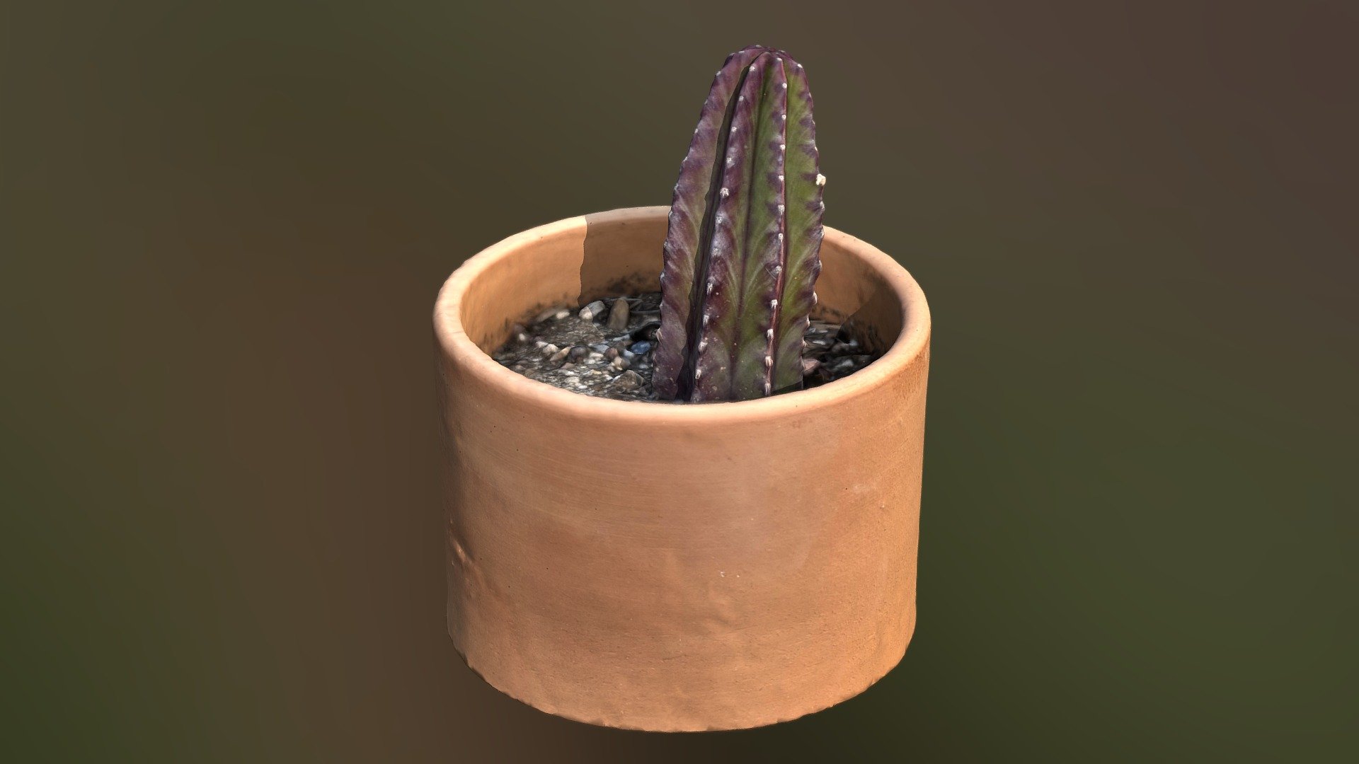 Purple Cactus