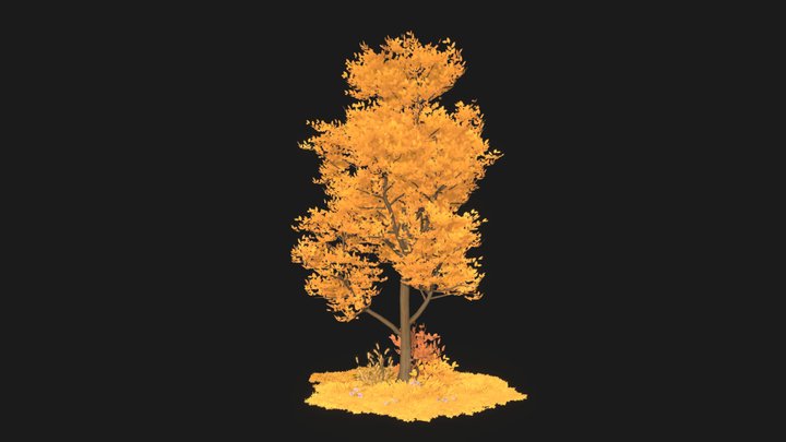 Autumn Tree 3D Model