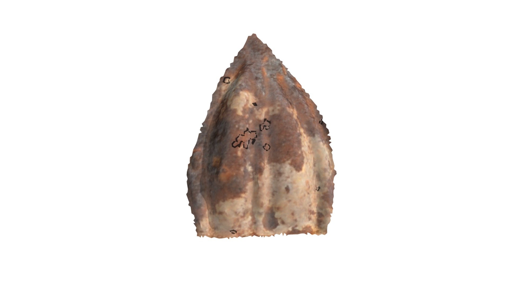C13 - aurochs MNIR