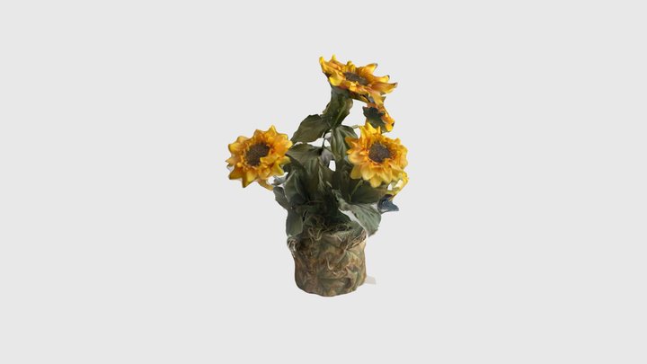 Flower 3D Model