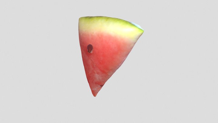 김성주 <지금은 하지 못하지만> 3D Model