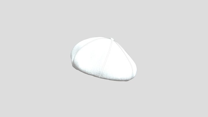 Fbx_beret8panel_fv2_toshitimo 3D Model