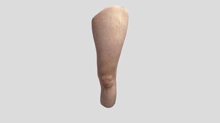 Pierna 3D Model
