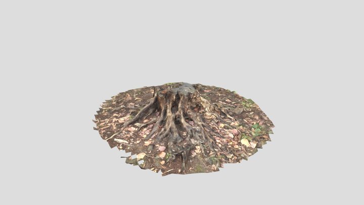 stump 3D Model