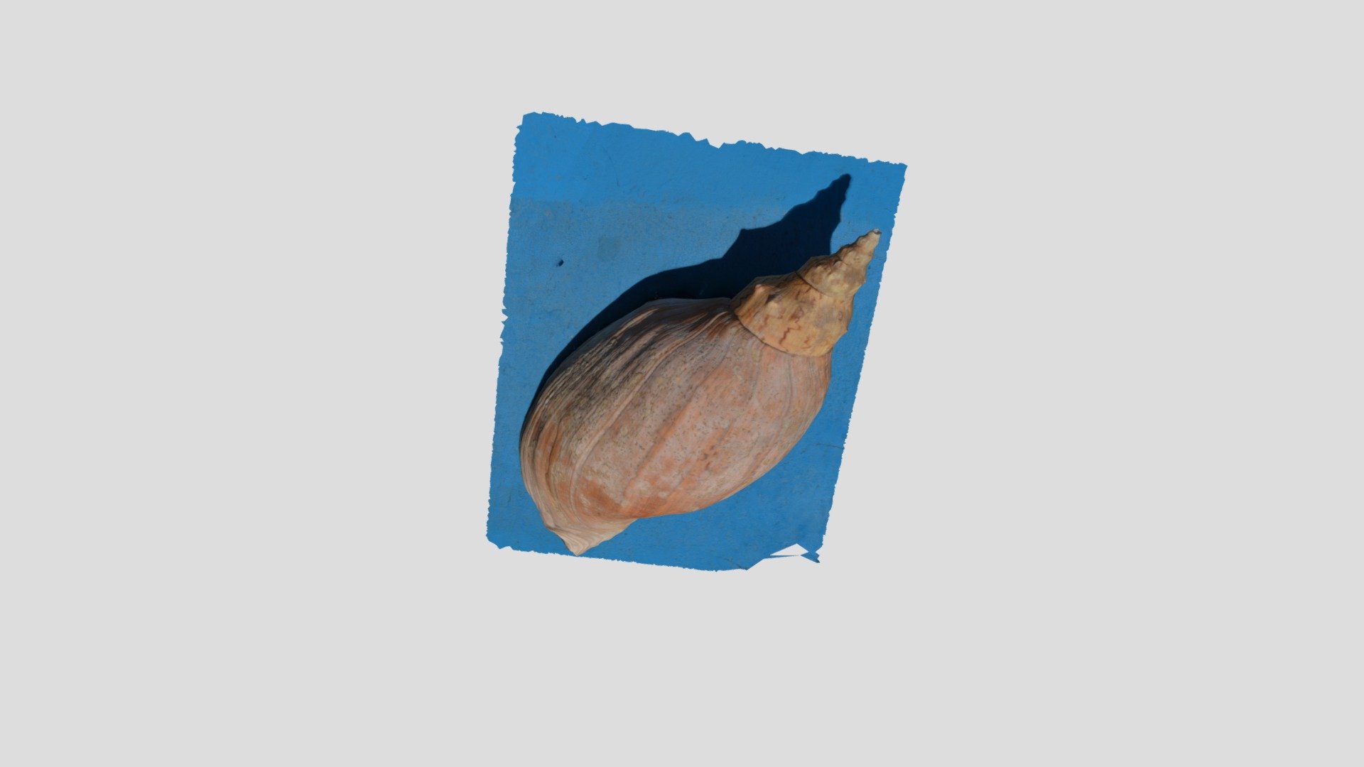 Caracol