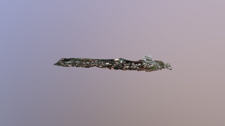 model 3D Model