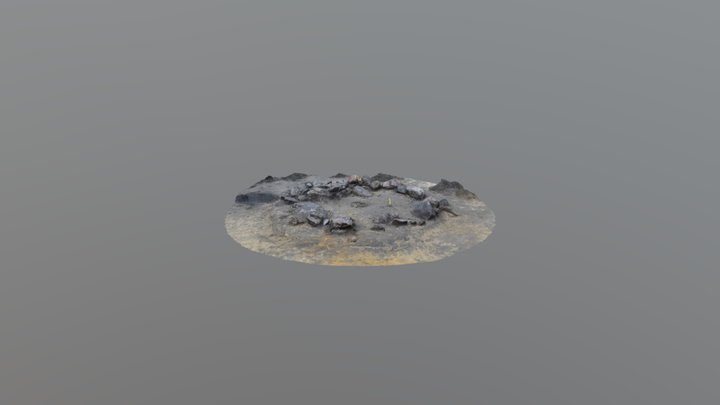 Brunn 3D Model