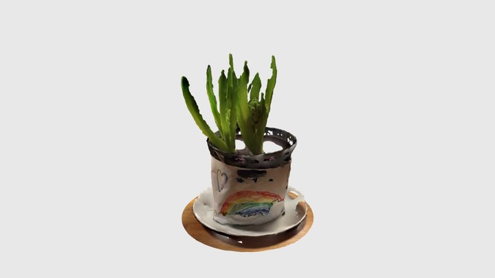 Plant 3D Model
