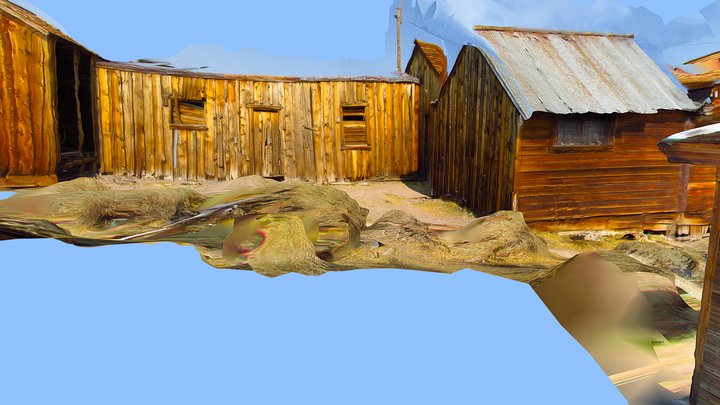 Bodie CA, Sheds at the Lester E. Bell House 3D Model