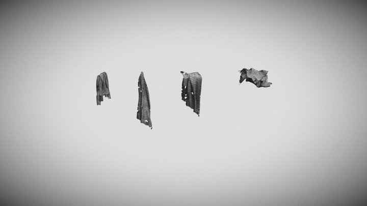 Hanging_Rags 3D Model