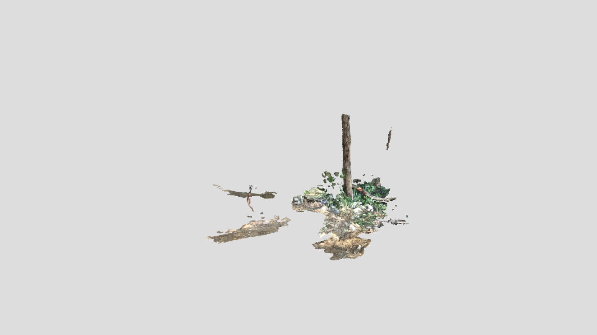Lidar Scanning  of Cancun Terrain 01