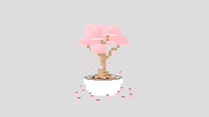Bonsai 3D Model