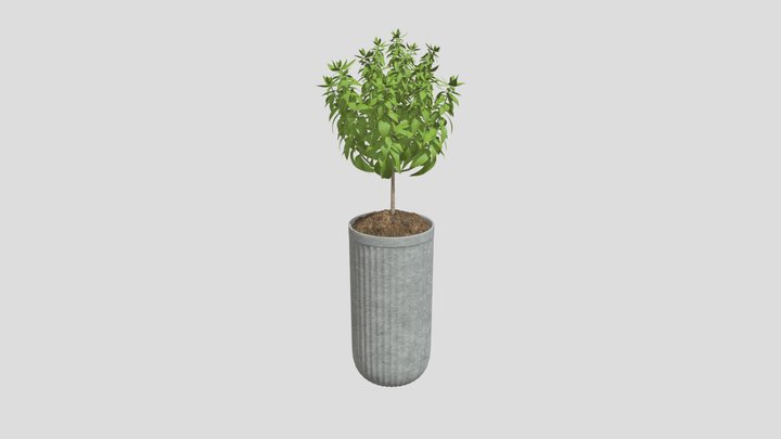 Minimal Topiary Tree Pot – Kostenloses 3D-Modell STL